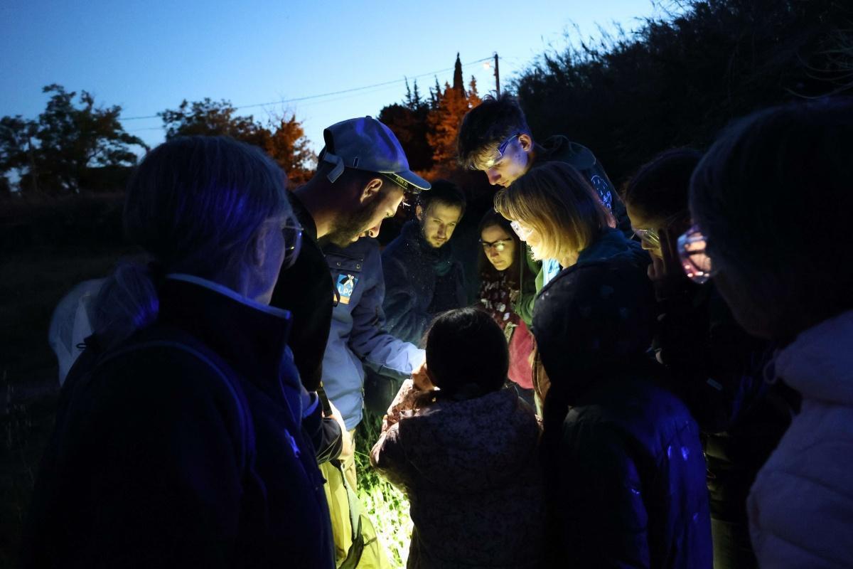 Atlas de la biodiversité communale - à la découverte des papillons de nuit