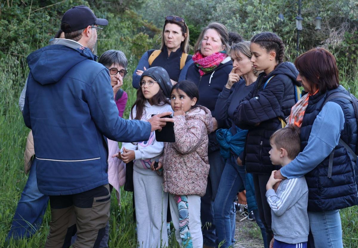 Atlas de la biodiversité communale - à la découverte des papillons de nuit