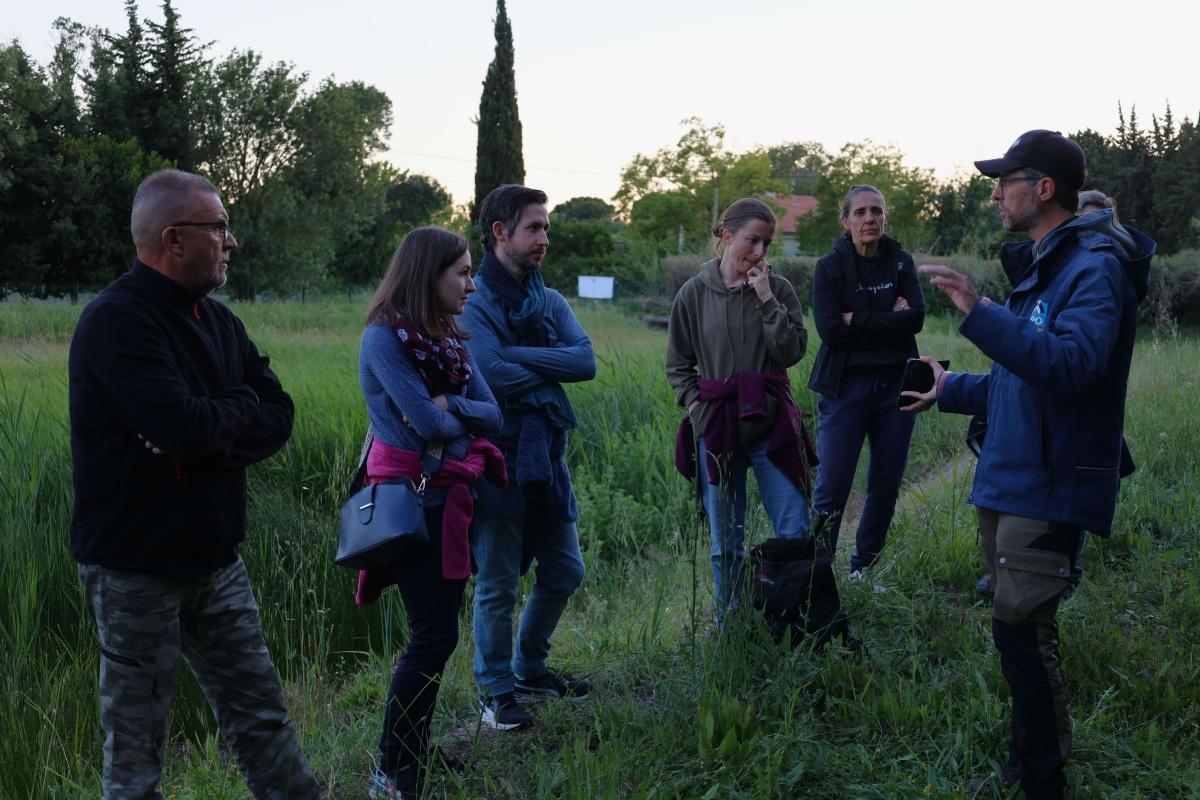 Atlas de la biodiversité communale - à la découverte des papillons de nuit