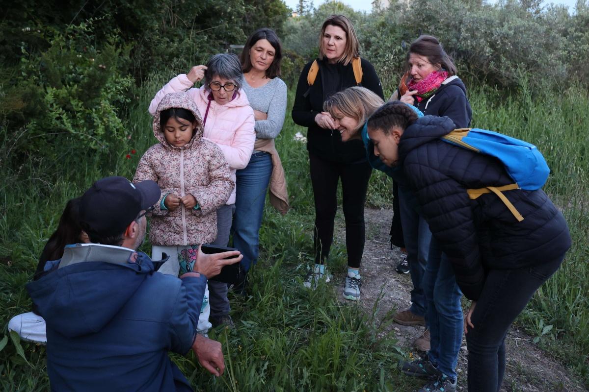 Atlas de la biodiversité communale - à la découverte des papillons de nuit