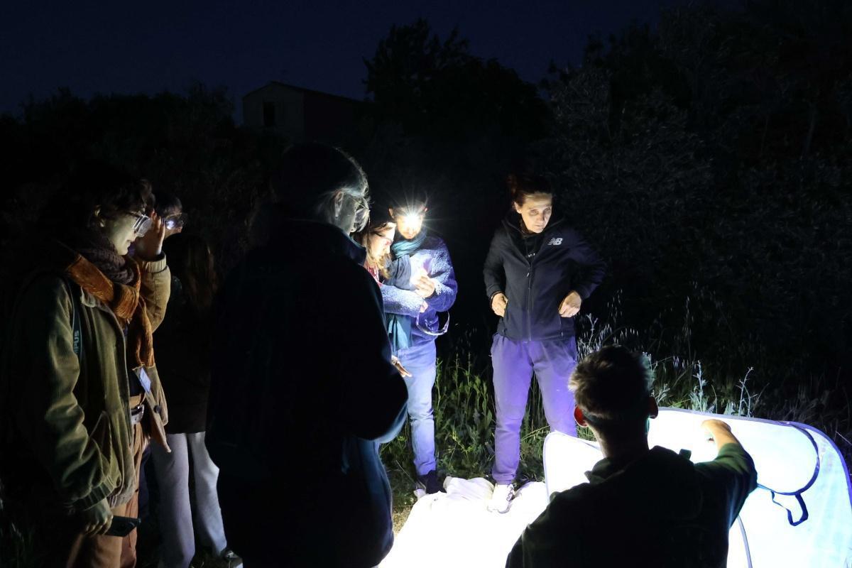 Atlas de la biodiversité communale - à la découverte des papillons de nuit