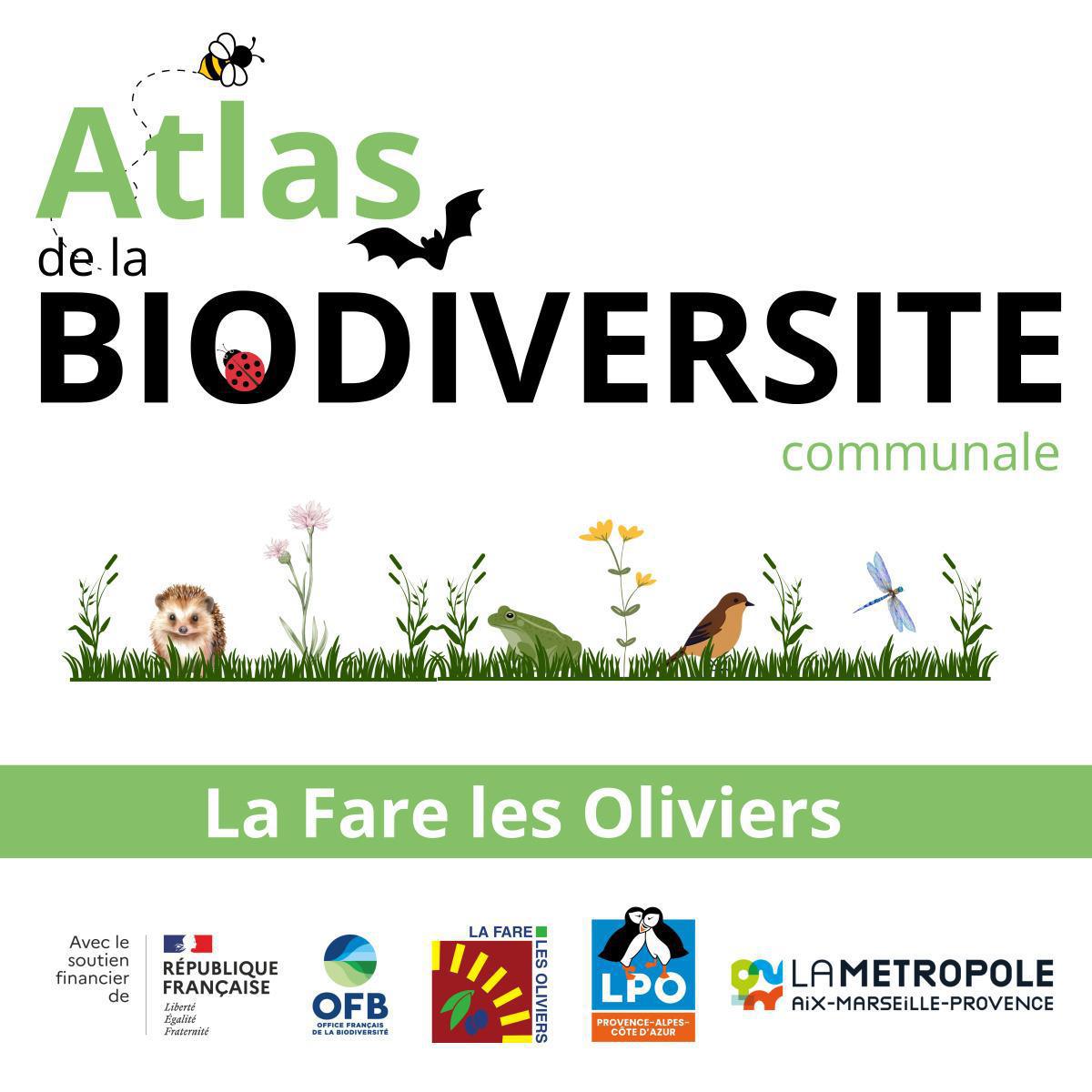 Atlas de la biodiversité communale - à la découverte des papillons de nuit