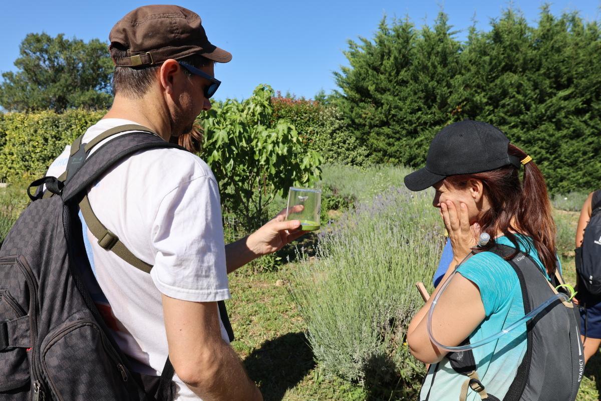 Une matinée au cœur de la biodiversité locale