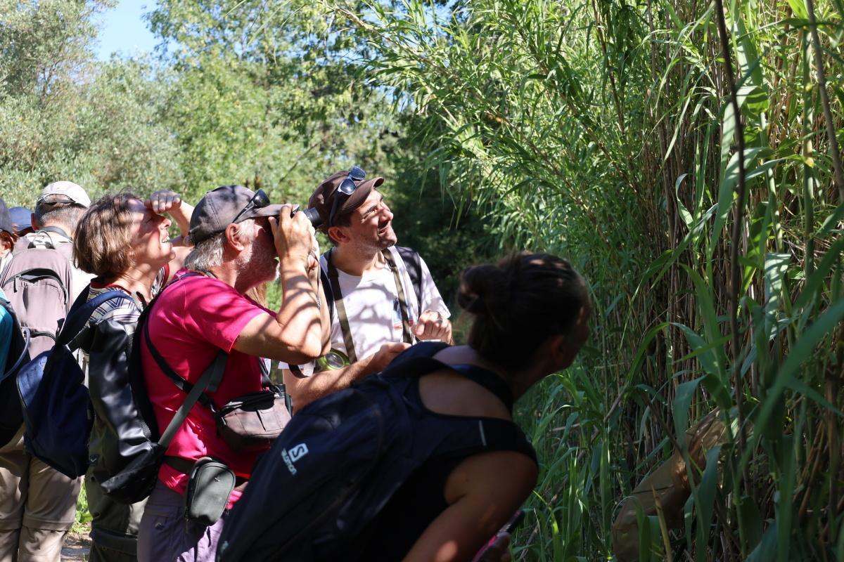 Une matinée au cœur de la biodiversité locale