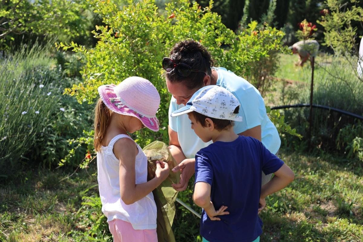 Atlas de la biodiversité communale - retour sur l’inventaire participatif des papillons 