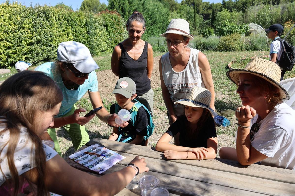 Atlas de la biodiversité communale - retour sur l’inventaire participatif des papillons 