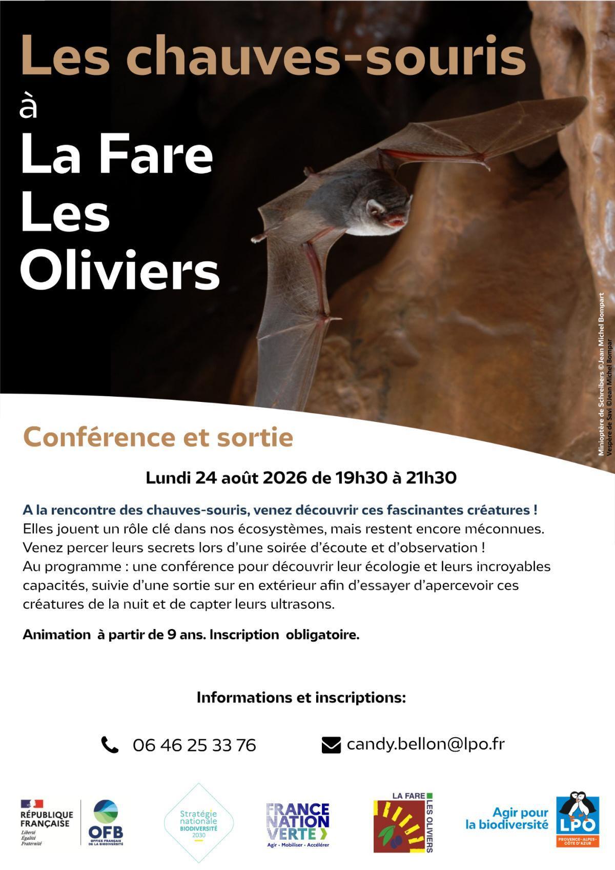 Les chauves -souris à la Fare les Oliviers