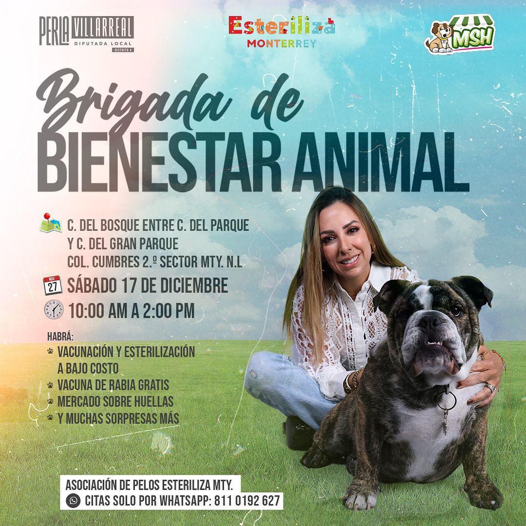 Brigada de Bienestar Animal