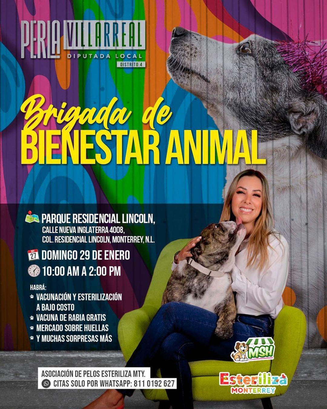 ¡Brigada de Bienestar Animal!