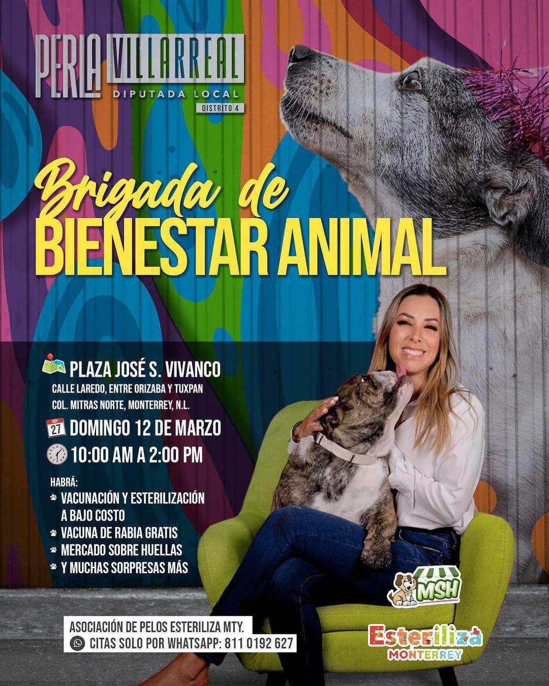 Brigada de Bienestar Animal en Mitras Norte