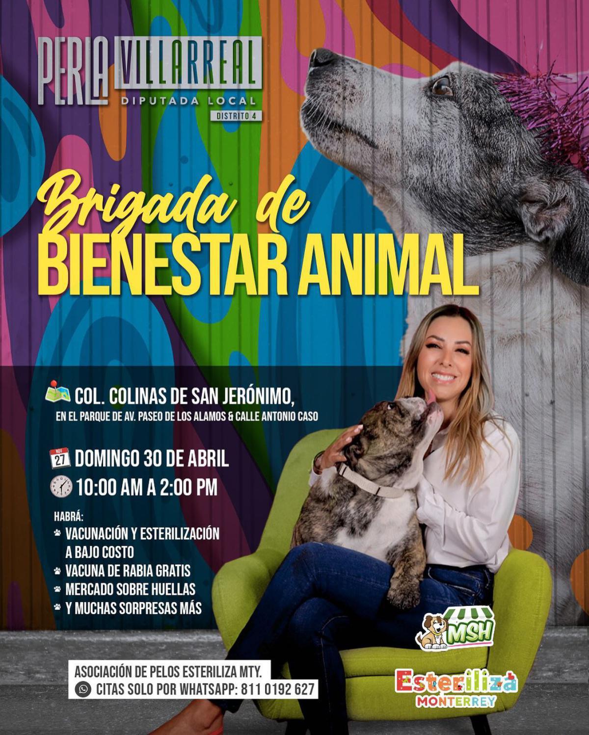 Brigada de Bienestar Animal