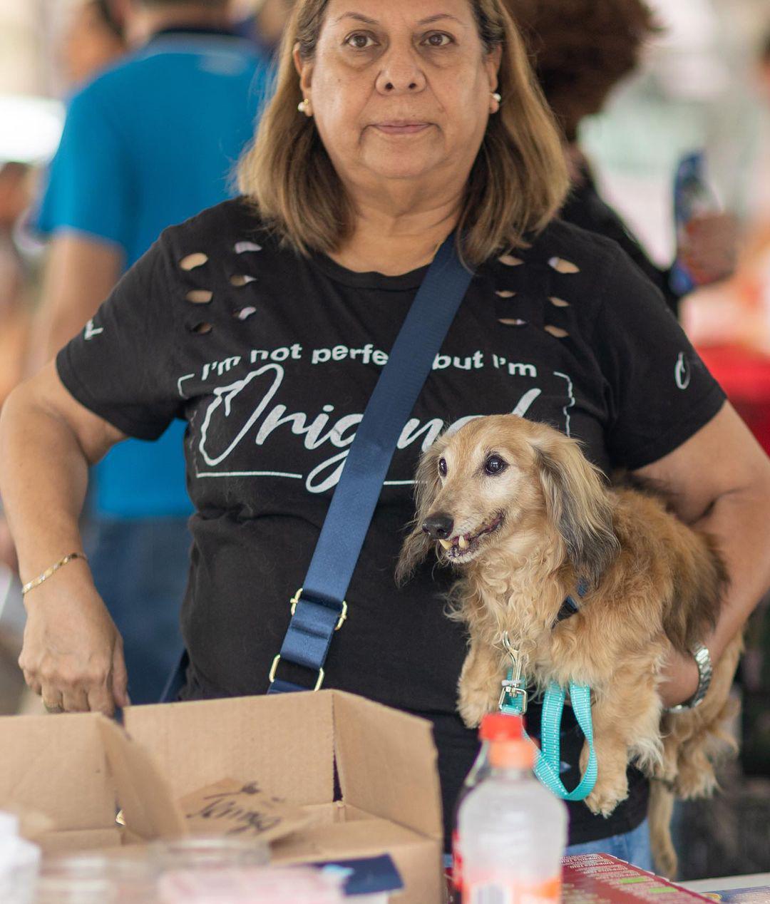 ¡Una Domingo en la Brigada Animal!