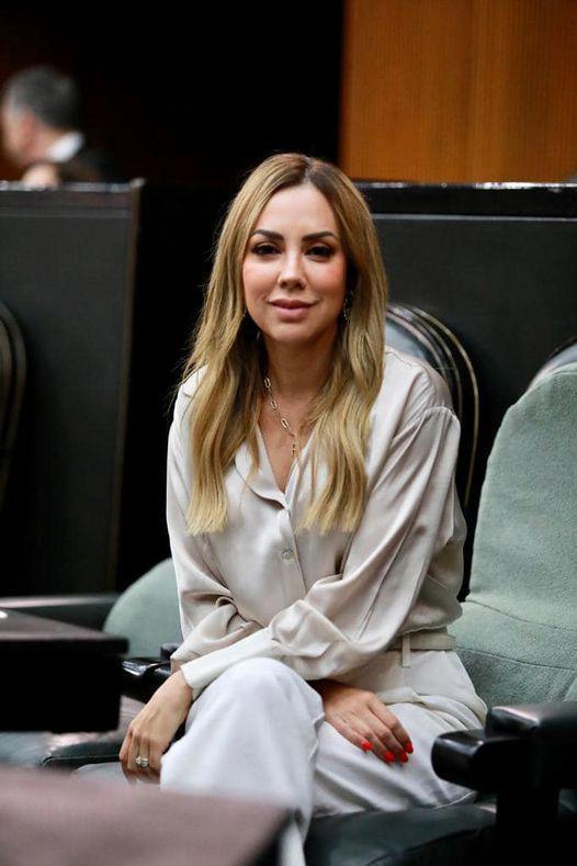 Comisiones de las que formo parte  Comisiones de las que formo parte