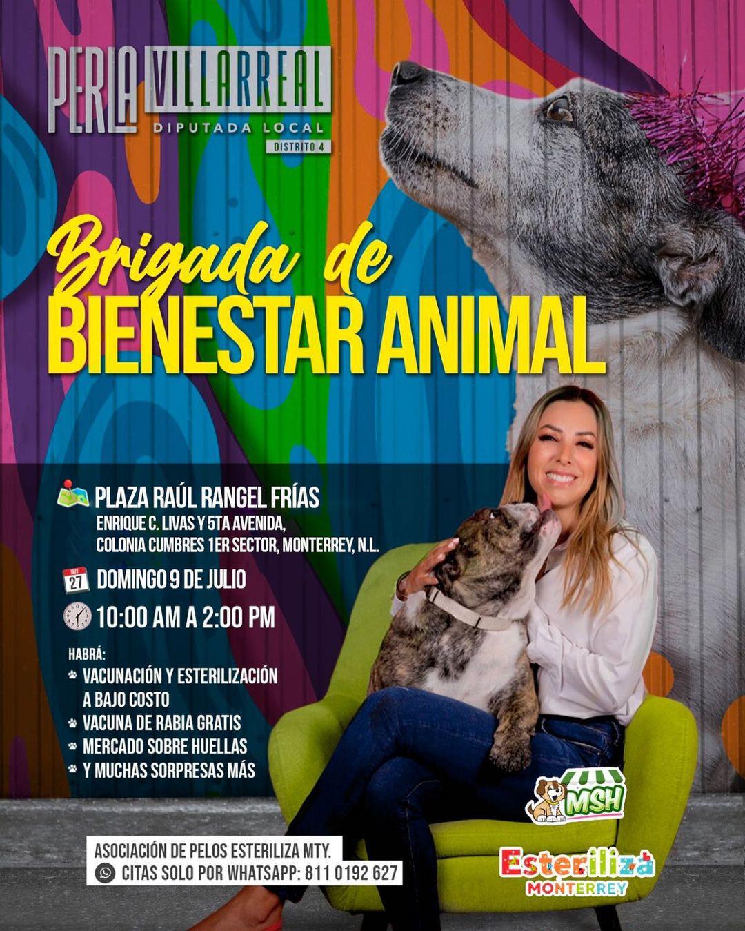 Brigada de Bienestar Animal