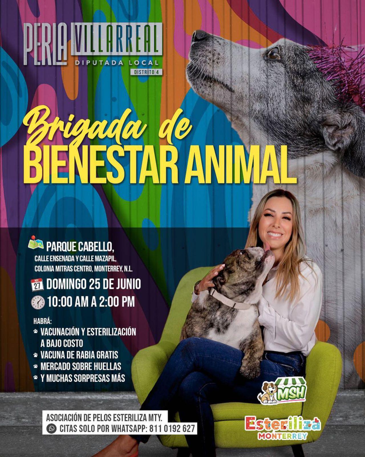 Brigada de Bienestar Animal 