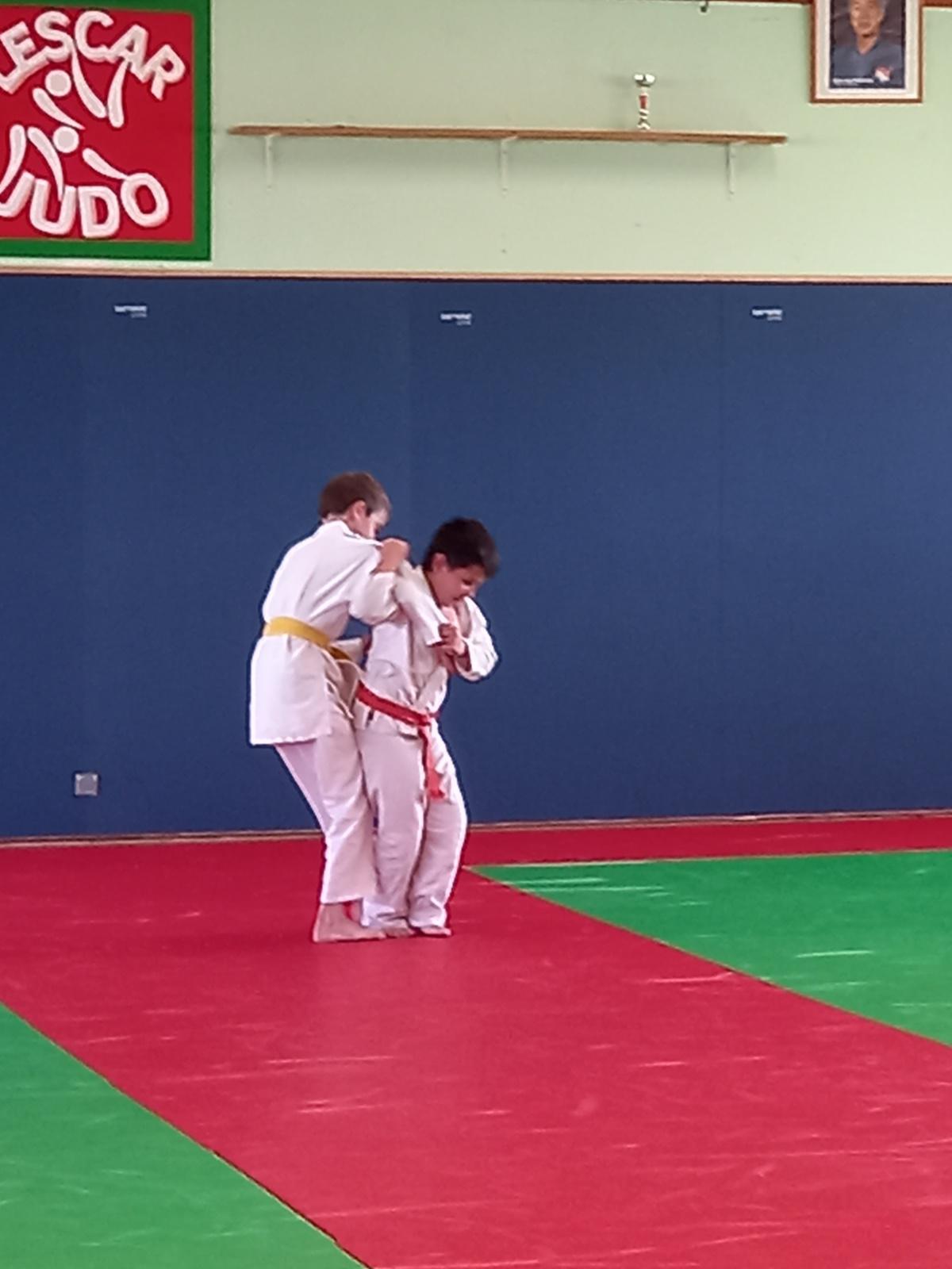 Photos de la remise de ceintures a Lescar Judo