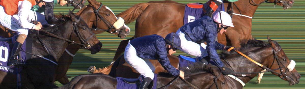 Nouvelle Caméra - Vision Pro X Nouvelle Caméra - Vision Pro X