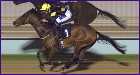 Nouvelle Caméra - Vision Pro X Nouvelle Caméra - Vision Pro X