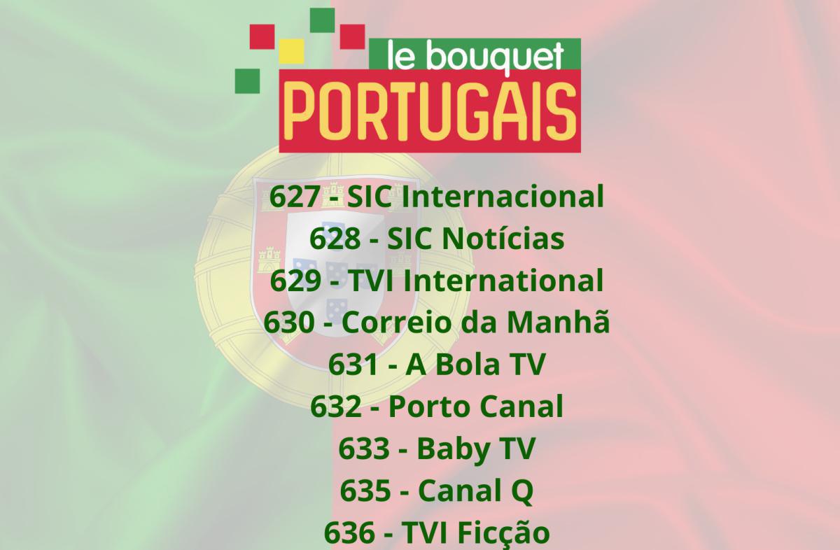 Offre Spéciale EURO : Profitez de 4 Packs beIN SPORTS à Prix Réduit Offre Spéciale EURO : Profitez de 4 Packs beIN SPORTS à Prix Réduit