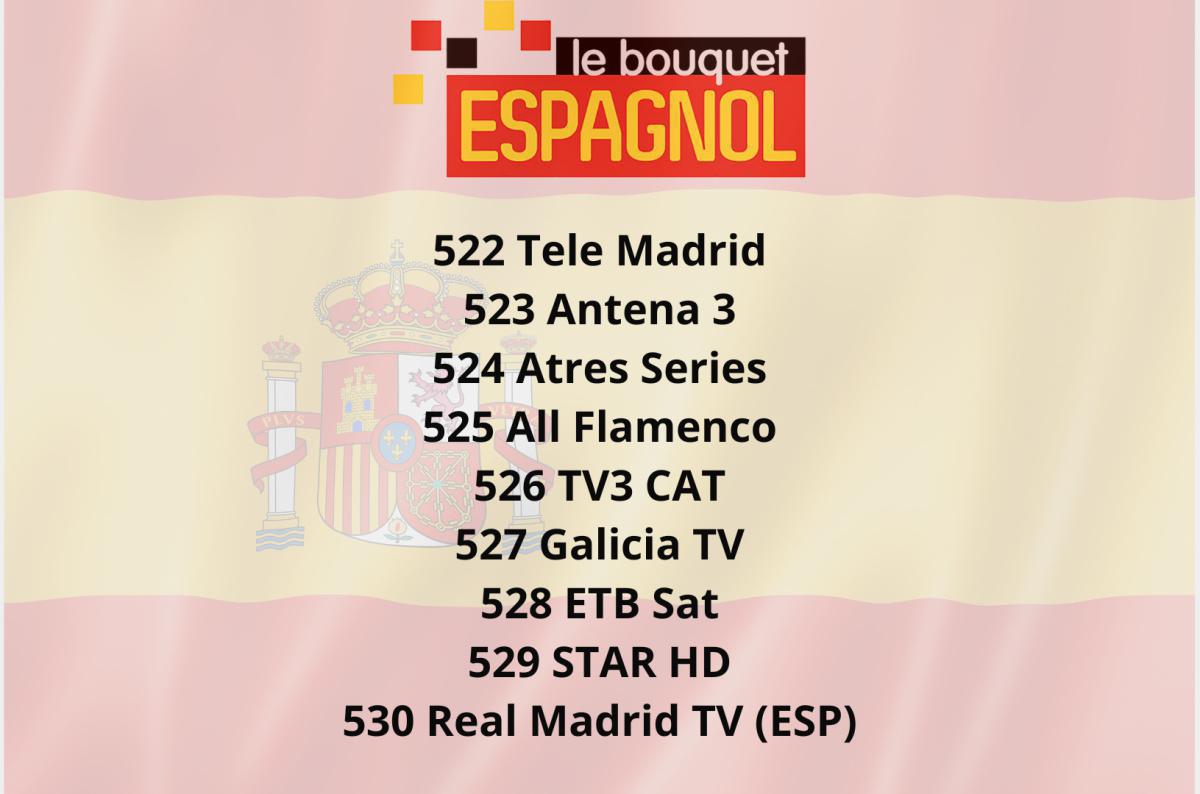 Offre Spéciale EURO : Profitez de 4 Packs beIN SPORTS à Prix Réduit Offre Spéciale EURO : Profitez de 4 Packs beIN SPORTS à Prix Réduit