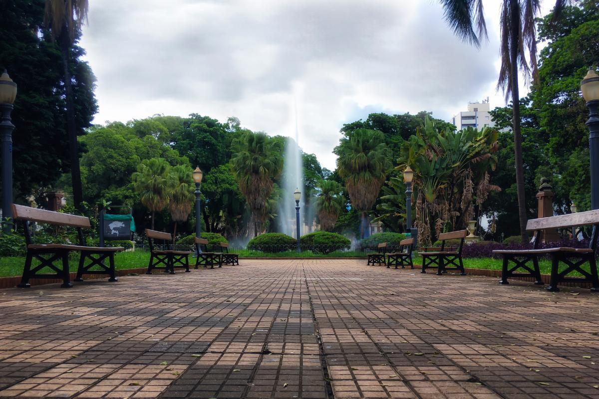 Progetto "Verde in Città" Progetto "Verde in Città"