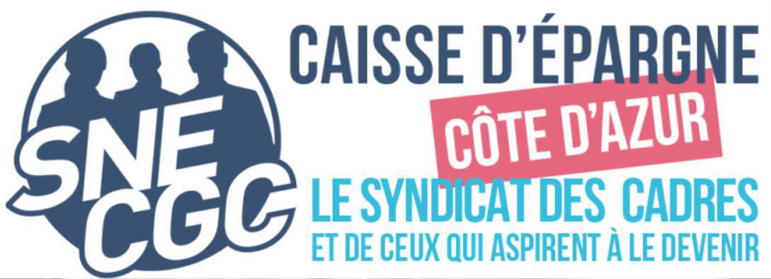 Le SNE-CGC en Côte d’Azur c’est : Le SNE-CGC en Côte d’Azur c’est :