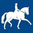 Résultats concours Dressage- 9 et 10 février 2013- A Staffa- Porto-Vecchio