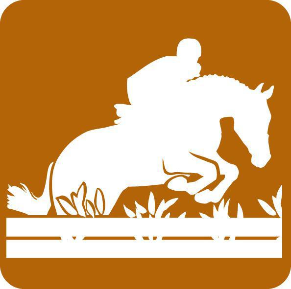 Championnat Régional Hunter - 10 juin 2019 - Cavall'in Festa organisé par le centre équestre de Balagne