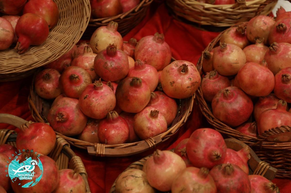 احتفال عيد الصليب 2025