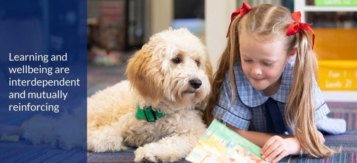 Student learning and wellbeing Student learning and wellbeing