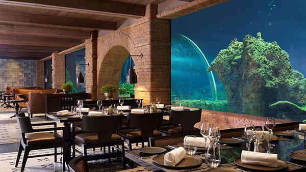 Koral: Bali’s First Aquarium Restaurant Koral: Bali’s First Aquarium Restaurant