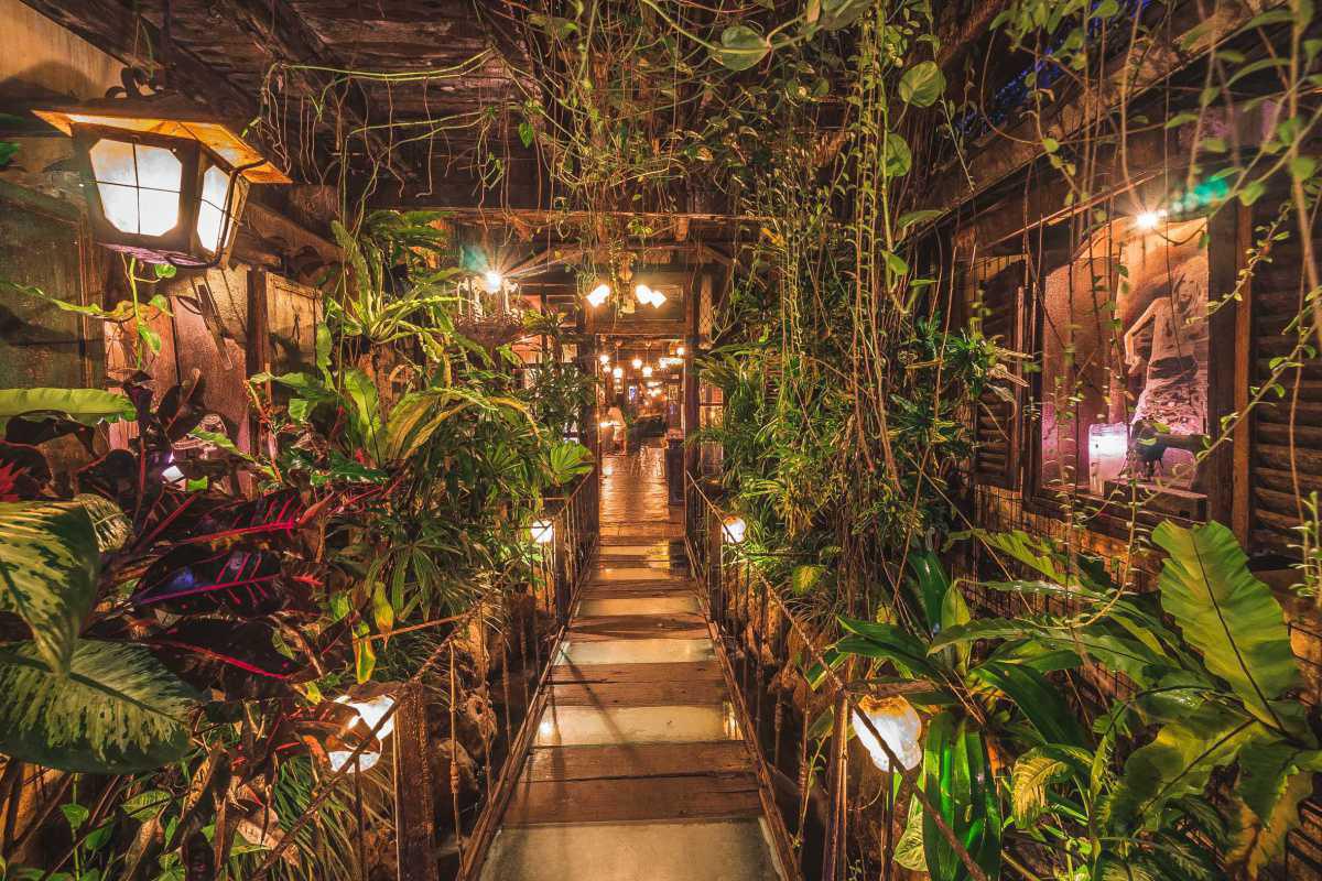 Attika Bali Attika Bali