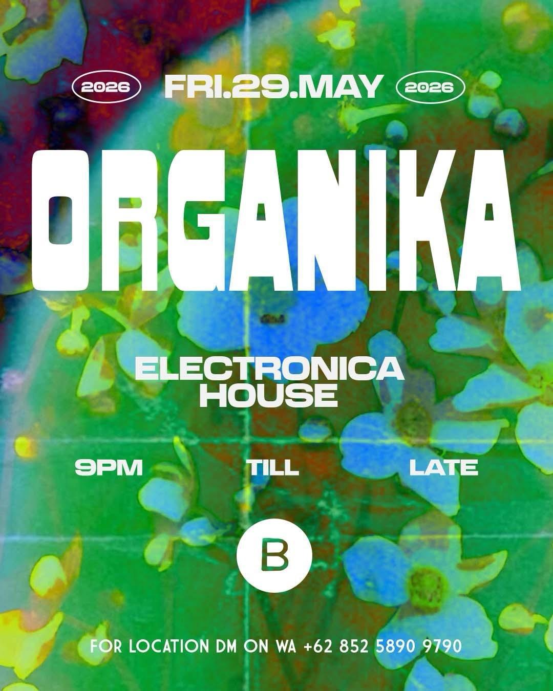 Friday at Boliche Bali