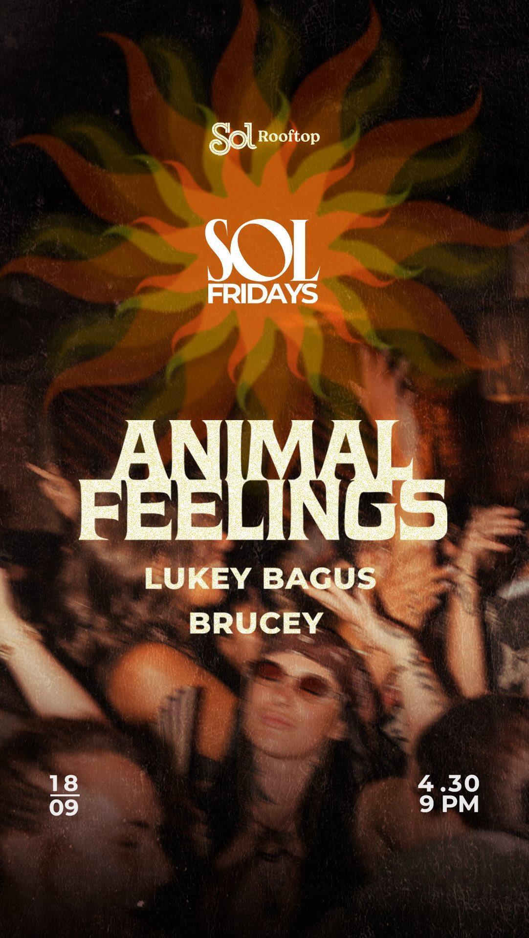 Sol Fridays with Animal Feelings at Sol Rooftop Bali Sol Fridays with Animal Feelings at Sol Rooftop Bali