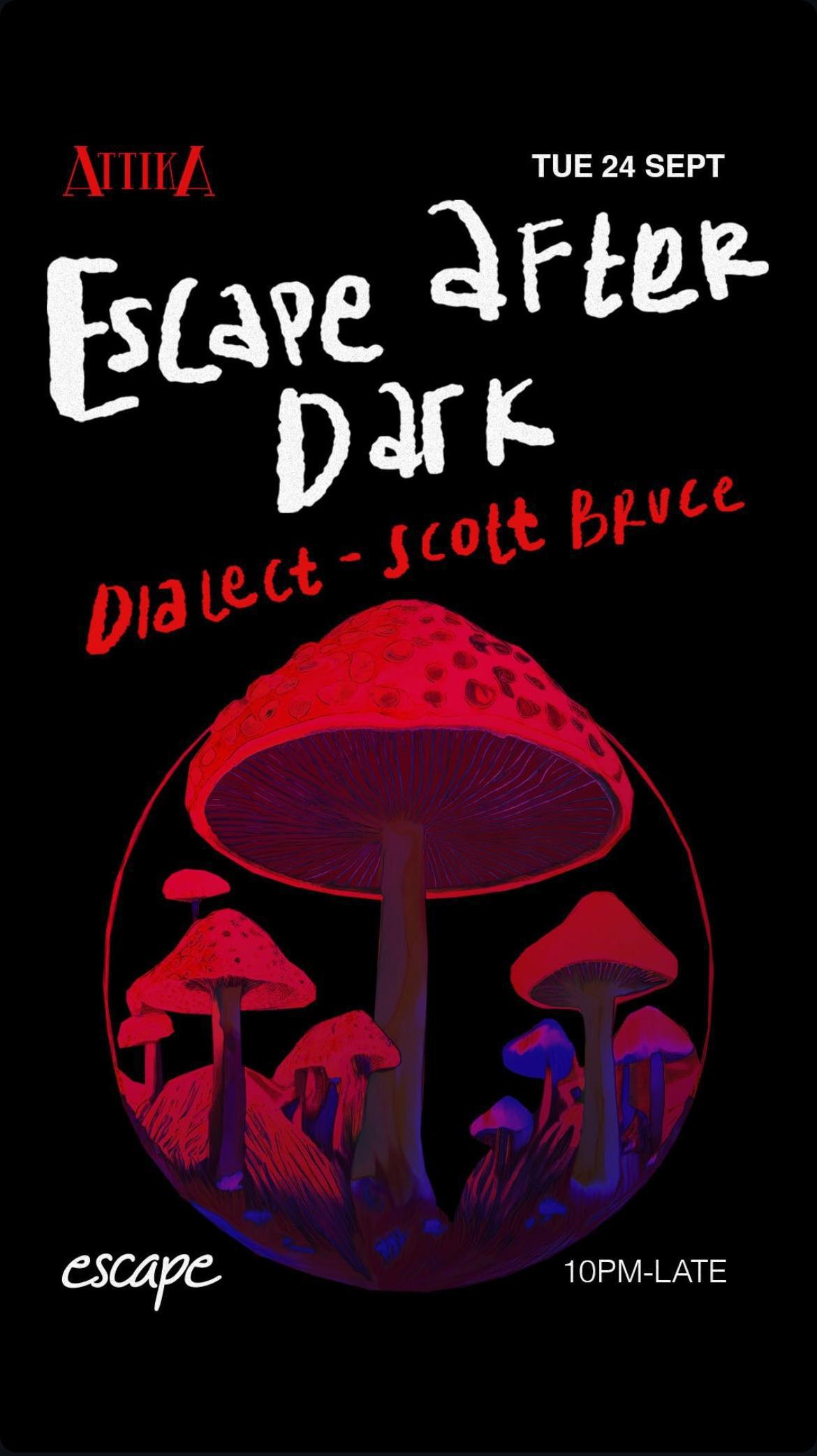 Escape after dark at Attika Bali 