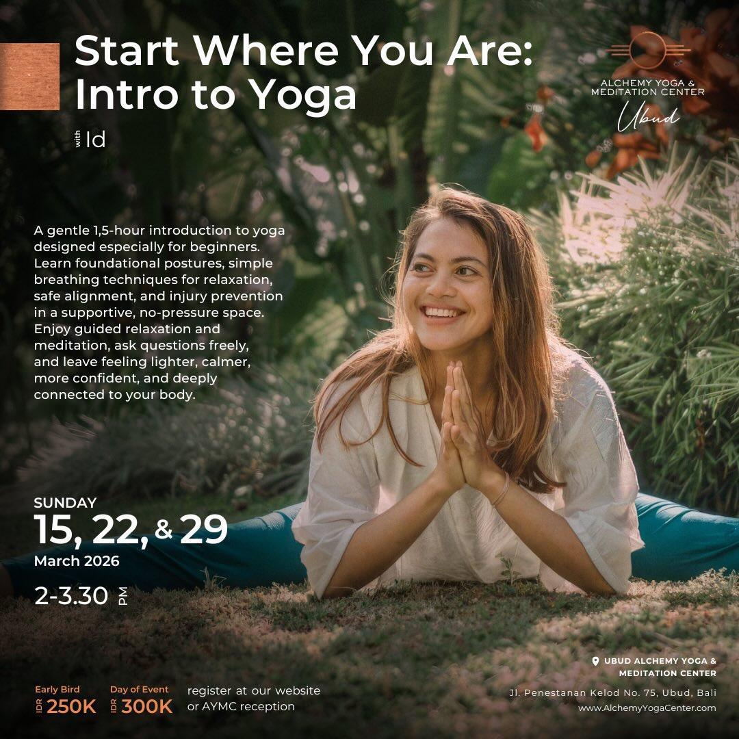 This Week at Alchemy Ubud