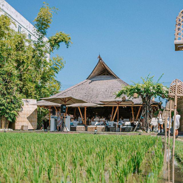 Sardine By K Club Sardine By K Club