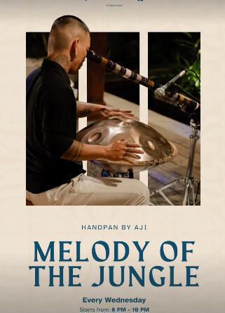 Melody Of Jungle at Juggan Sky