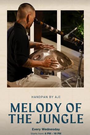 Melody Of The Jungle at Juggan Sky