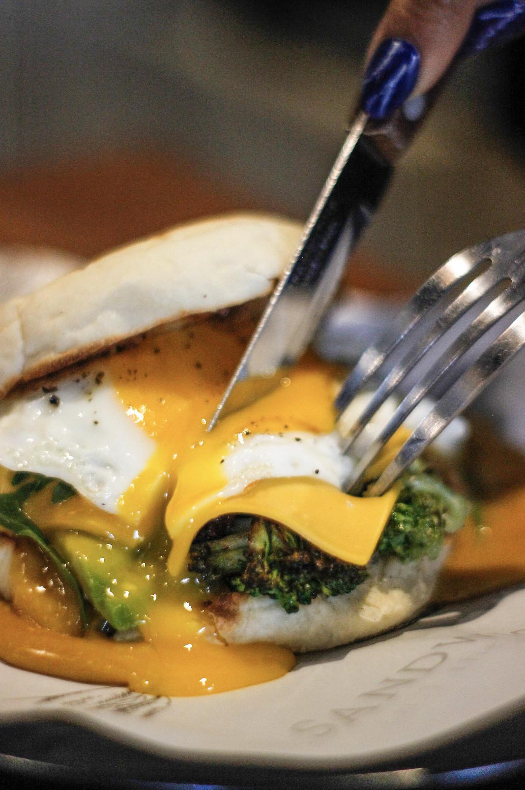 Sandwichopedia Sandwichopedia