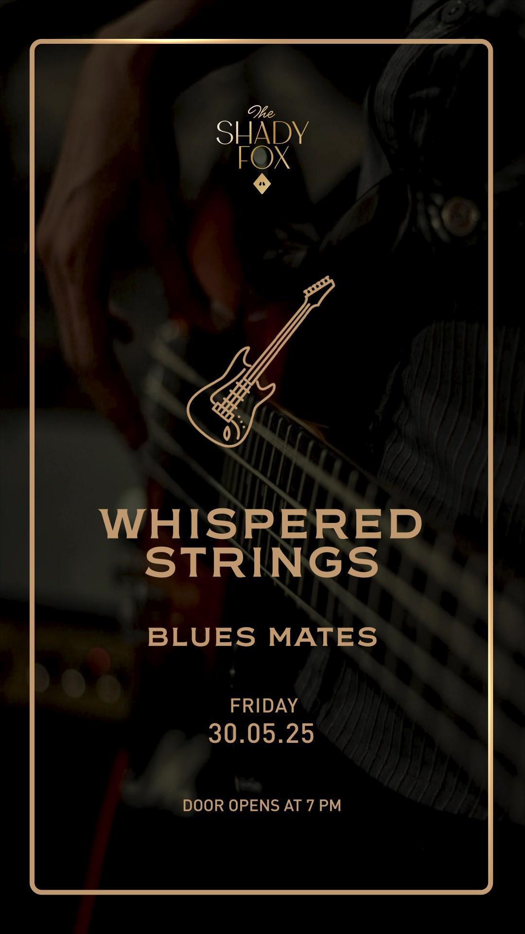 Friday at Shady Fox