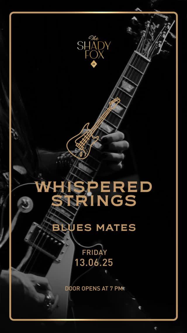 Friday at Shady Fox