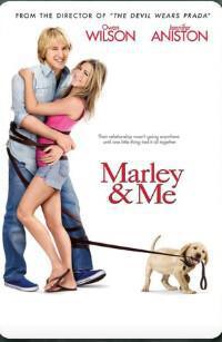 Movie Night at Twelve Bali