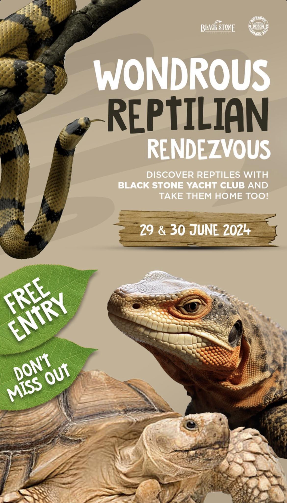 Wondrous reptilian at Blackstone Yacht Club