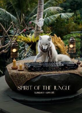 Spirit Of The Jungle at The Jungle Club Bali 
