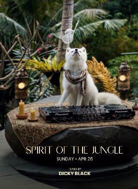 Spirit Of The Jungle at The Jungle Club Bali 