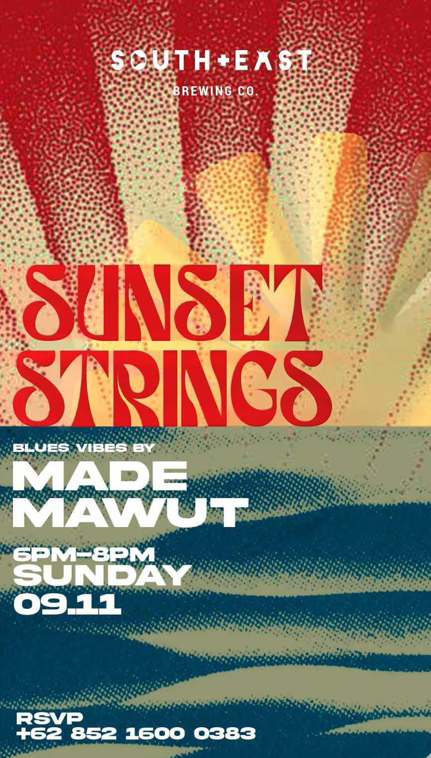 Sunset Strings at South East Brewing