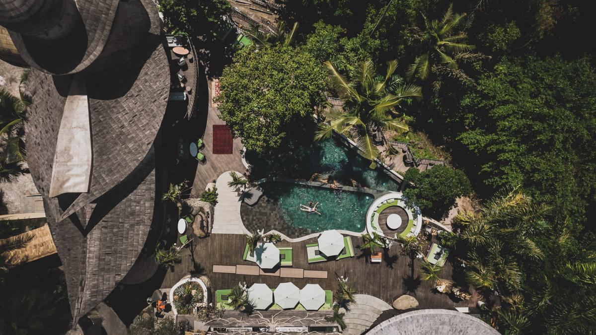 The Jungle Club Ubud  The Jungle Club Ubud