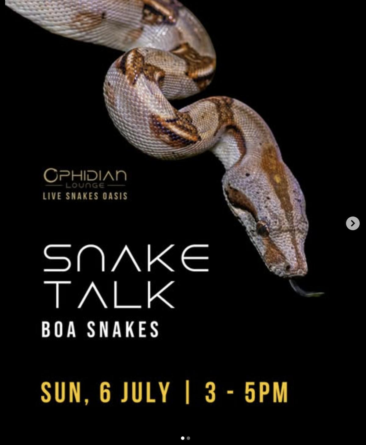 Snake Talk at Ophidian Lounge