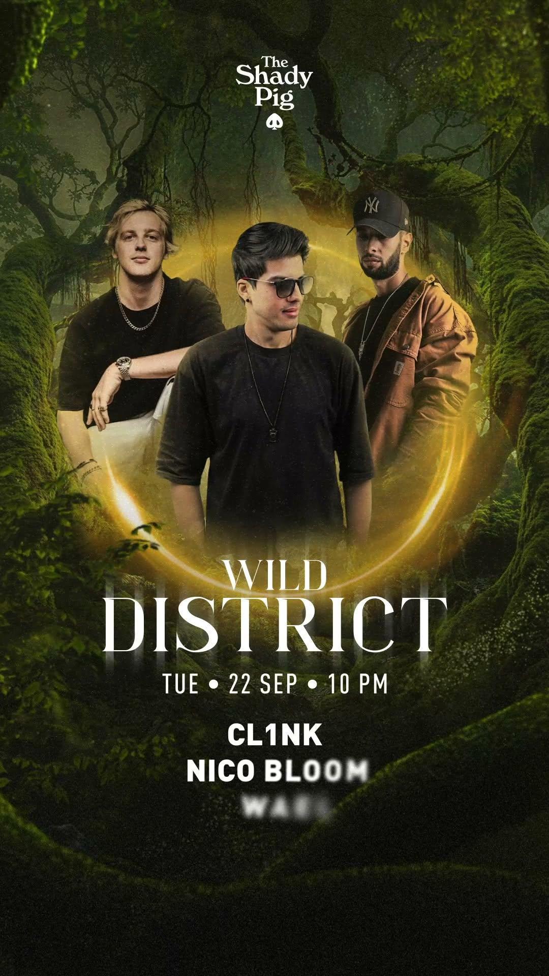 Wild District at The Shady Pig Berawa